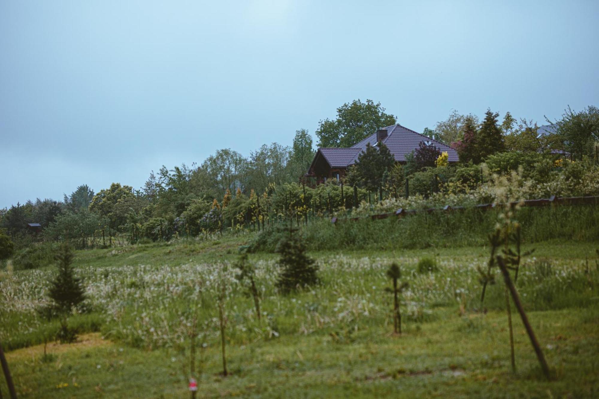 Domki Na Gorniej Lace - Domek Slowik Lazany 外观 照片